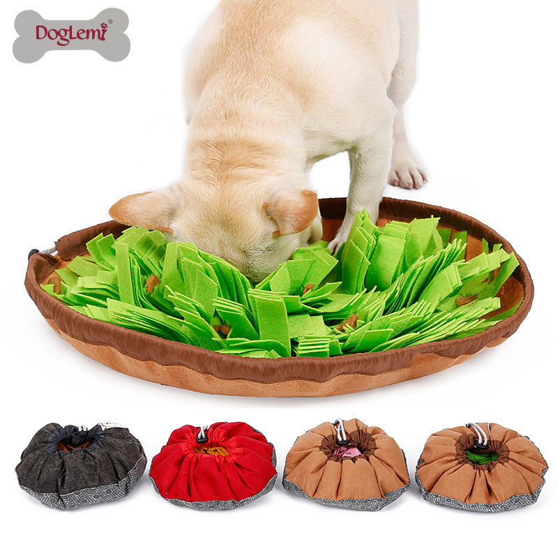 Dog sniffing pad