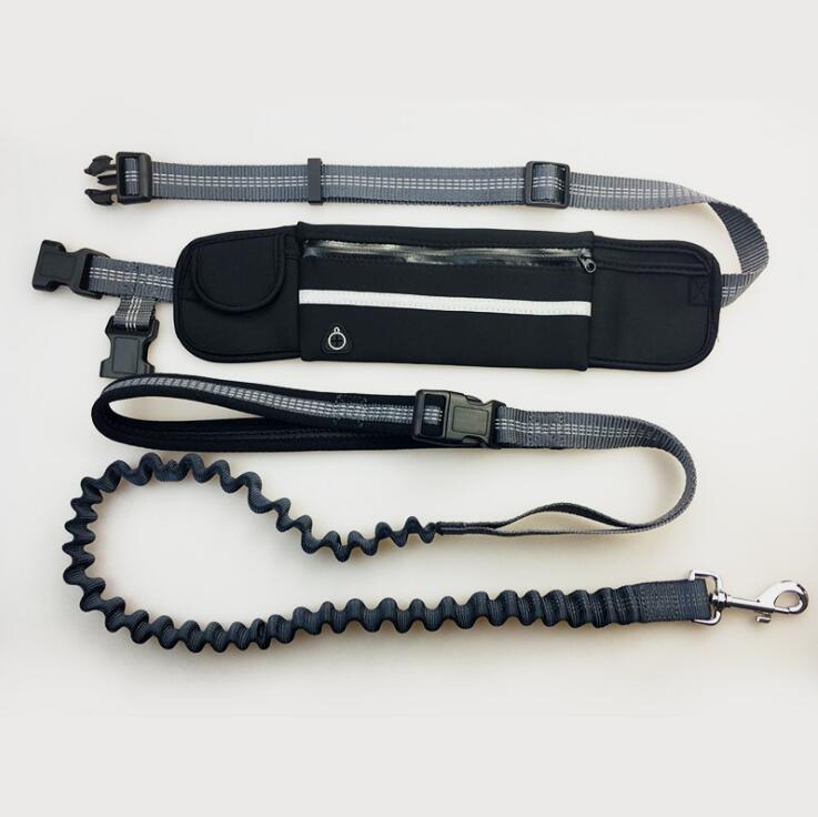 Handsfree Bungee Dog Leash