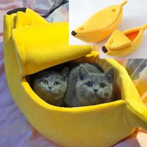 Banana Cat Bed