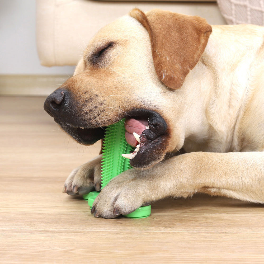 Dog tooth cleaning brush