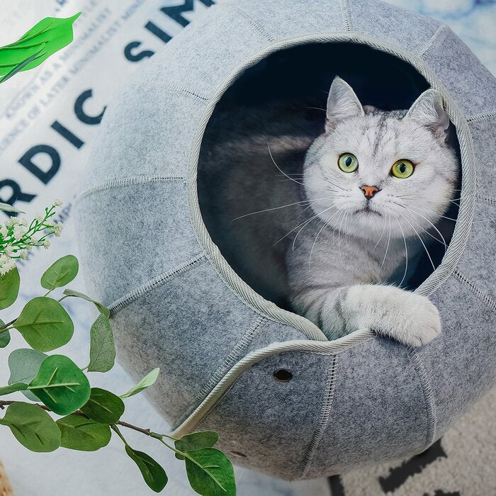 Collapsible Cat Tunnel