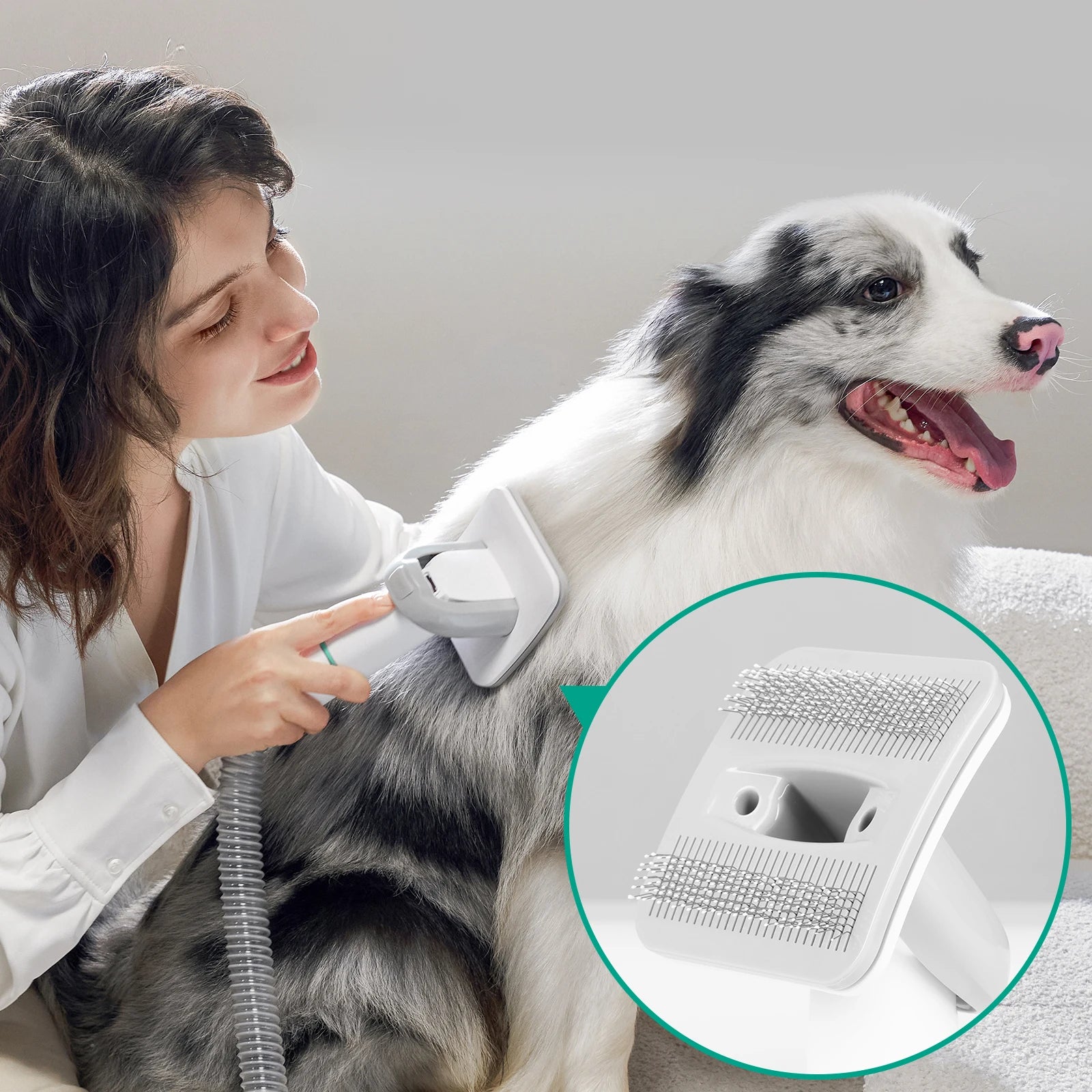 Pet Grooming Vacuum-INSE